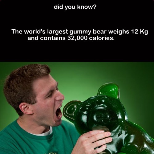Huge_Gummy_Bear