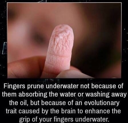 prune_finger
