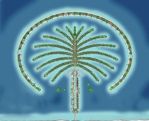 Palm Island Bird's-eye view